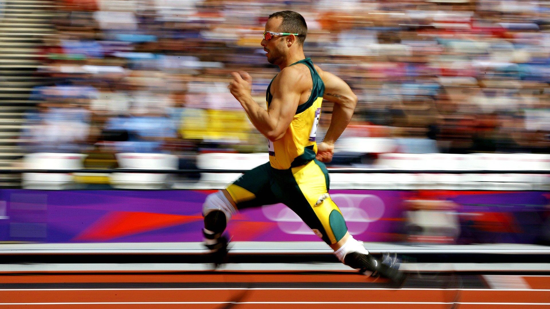 德国马术协会与国际马术联合会合作，举办国际马术交流活动，促进技术交流。