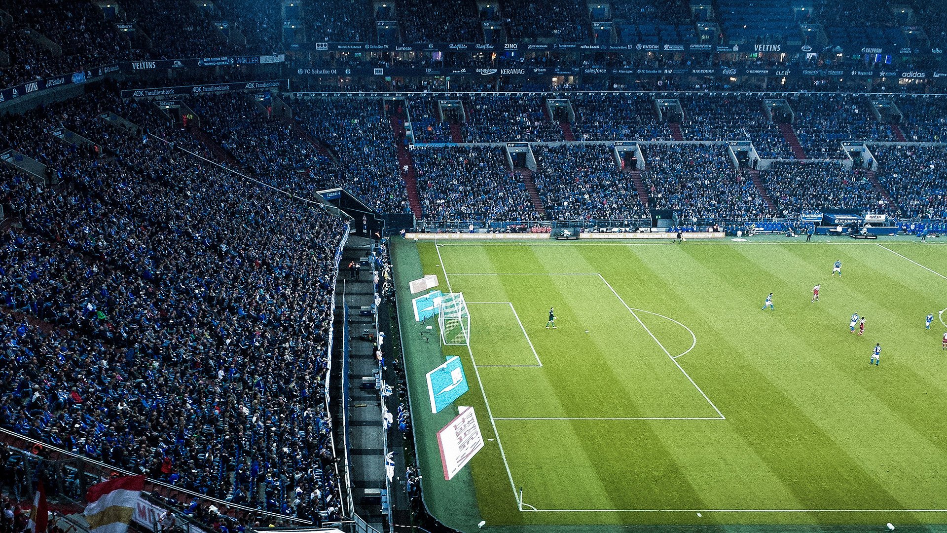 ayx-揭秘马术驯马师幕后故事首次公开，驯马师培训班在哪里