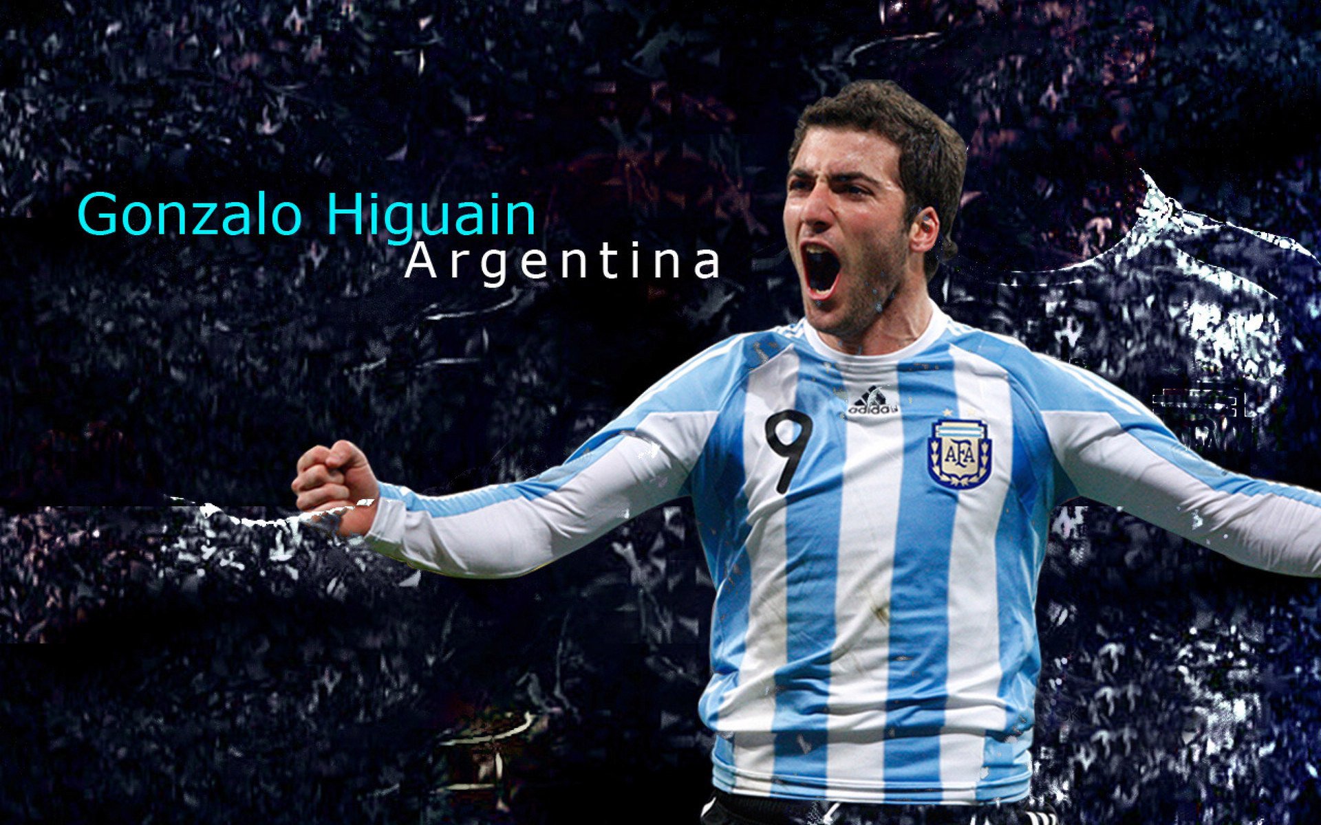 生力啤酒人新秀球员崭露头角，生力啤酒怎么样